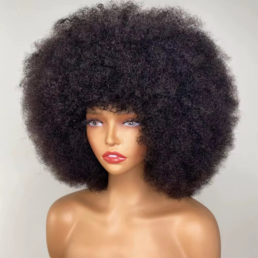 Finesse Luxury Wig - 16" Afro Kinky 100% Premium Human Hair Wig ✨